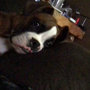 Meet your Posher, Ashley